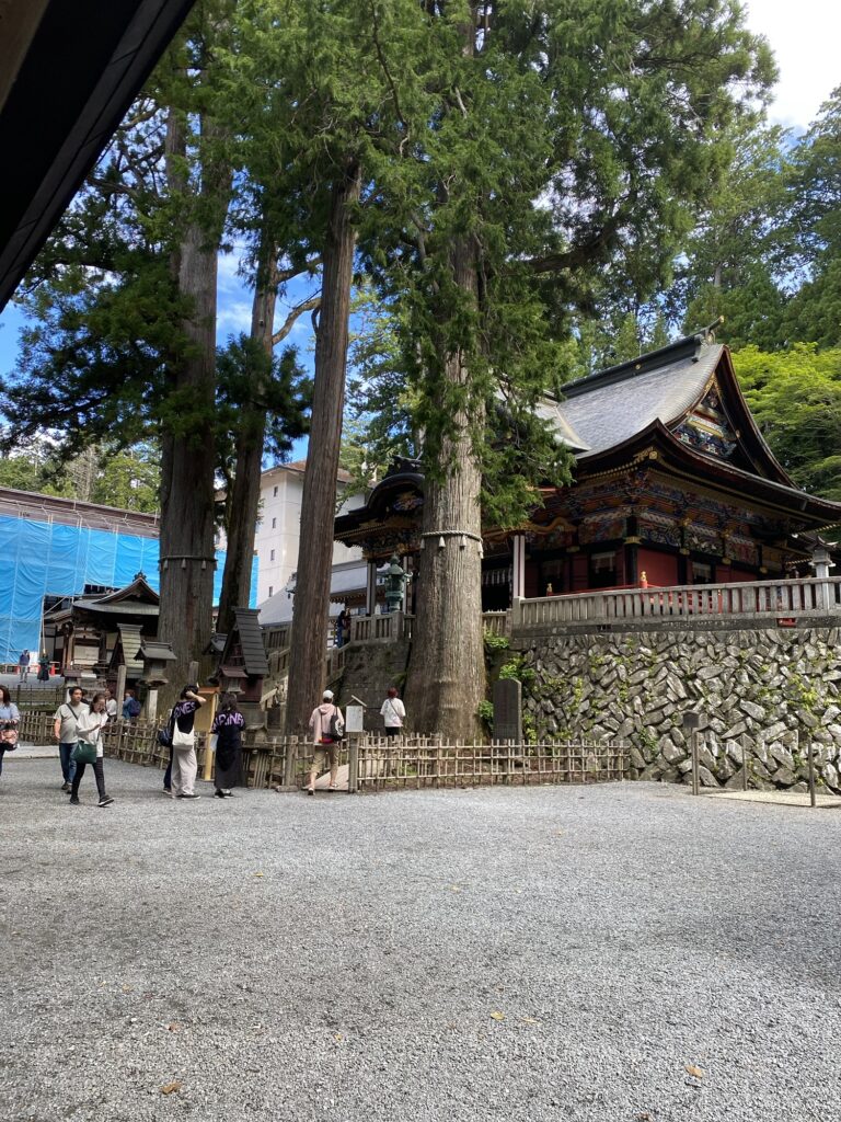御神木様